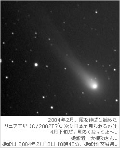 2004年2月、尾を伸ばし始めたリニア彗星（C/2002T7)。次に日本で見られるのは4月
下旬だ。明るくなってよ～。撮影者　大槻○○さん。撮影日 2004年2月18日 18時48分、撮影地　宮城県。