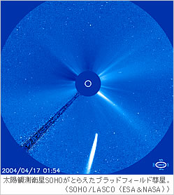 太陽観測衛星SOHOがとらえたブラッドフィールド彗星。（SOHO/LASCO（ESA＆NASA））