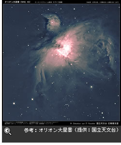 参考：オリオン大星雲（提供：国立天文台）※2006年1月現在の星の位置とは異なります。