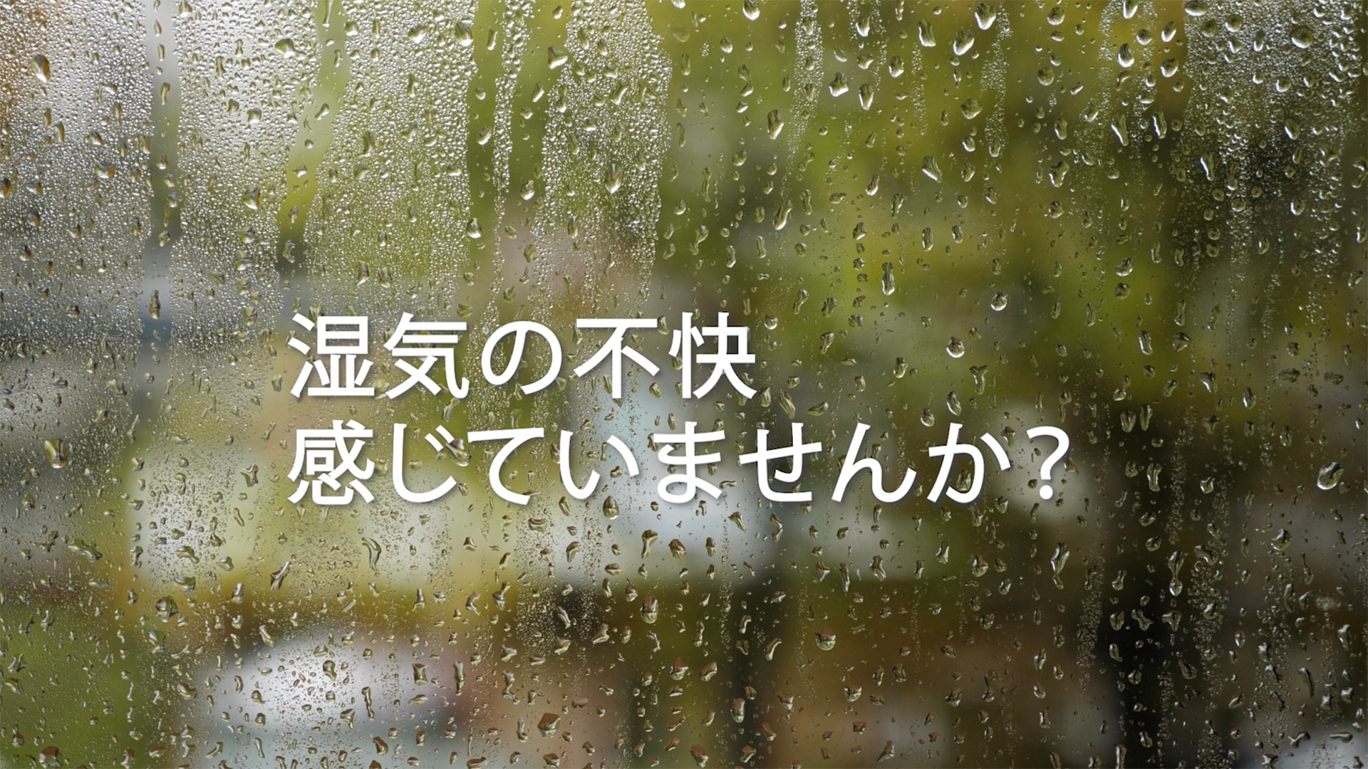 除湿機 サラリpro「ハイパワー除湿で年中・家中快適!」【三菱電機公式】