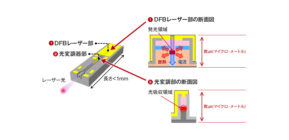 DFBレーザー部の断面図 光変調部の断面図