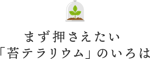 まず押さえたい「苔テラリウム」のいろは