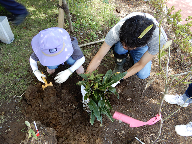 2024年6月に実施した植樹イベント