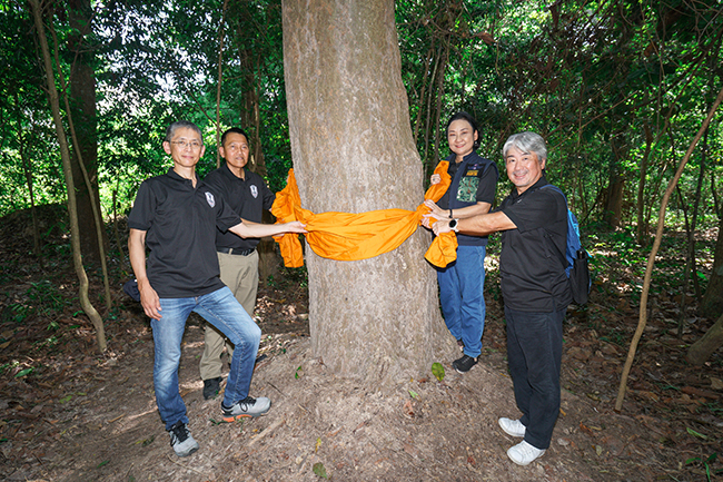 Tree Ordination（森林保護の儀式）