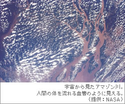 宇宙から見たアマゾン川。人間の体を流れる血管のように見える。（提供：NASA）