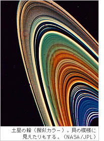 土星の輪（擬似カラー）。貝の模様に見えたりもする。（NASA/JPL）