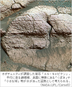 オポチュニティが調査した岩石「エル・キャピタン」。平行に走る縞模様、表面に無数にある「くぼみ」や「小さな球」等が水があった証拠として考えられる。（NASA/JPL/Cornell）