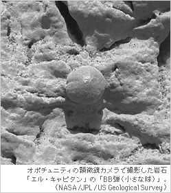 オポチュニティの顕微鏡カメラで撮影した岩石「エル・キャピタン」の「BB弾（小さな球）」。（NASA/JPL/US Geological Survey）