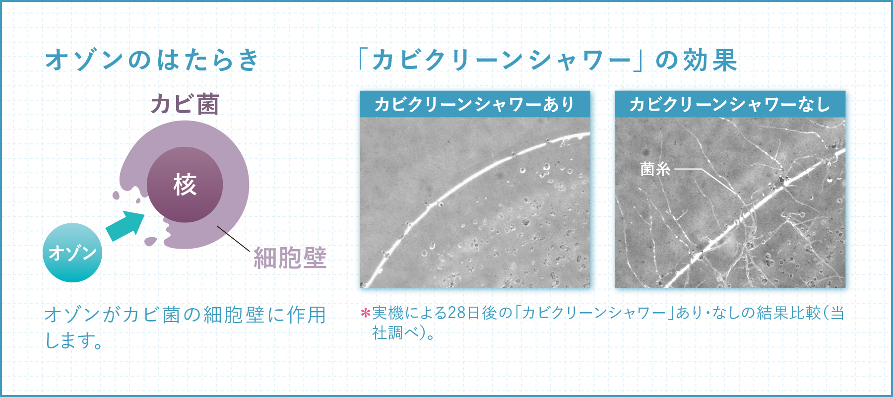 【鬼比較】MSZFD7121SWSとMSZFD7120SWSの違い