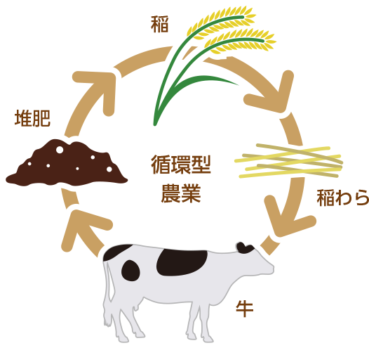 肥料と飼料 米づくりのエコシステム 三菱電機ジャー炊飯器 お米塾