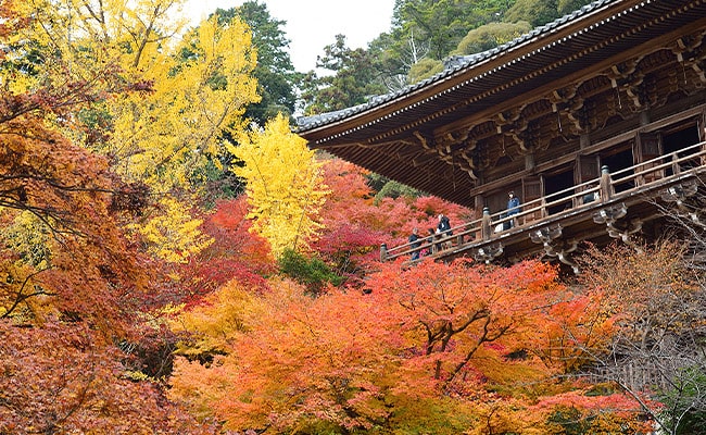 圓教寺 写真